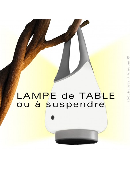 Lampe LED de table pour extérieur LANTERNE, rechargeable à batterie via un câble USB-C.‎
