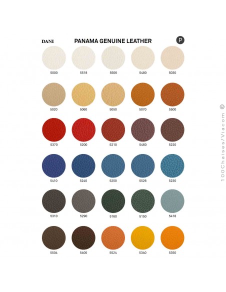 Palette couleur gamme cuir Panama du fabricant DANI, couleurs au choix.