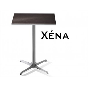 Xéna table carré, structure finition peinture argent, plateau noyer foncé.