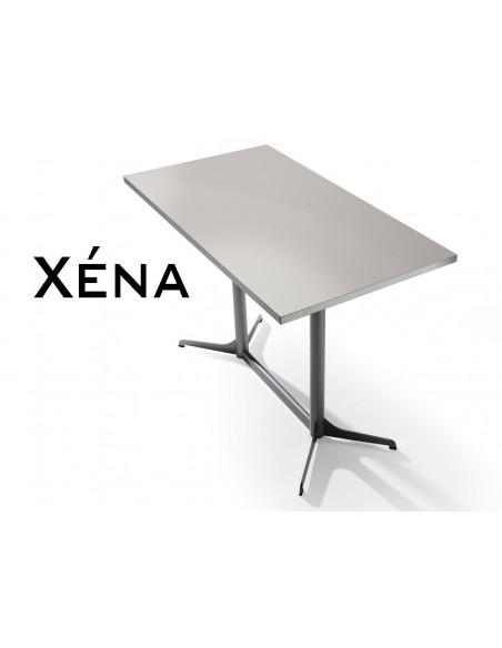 Xéna table rectangulaire, plateau finition argent.